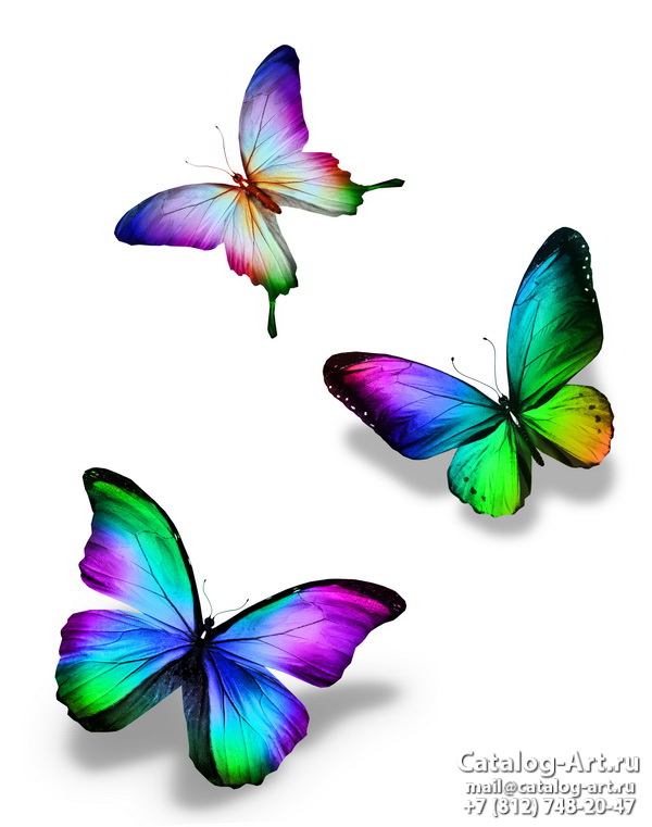  Butterflies 67